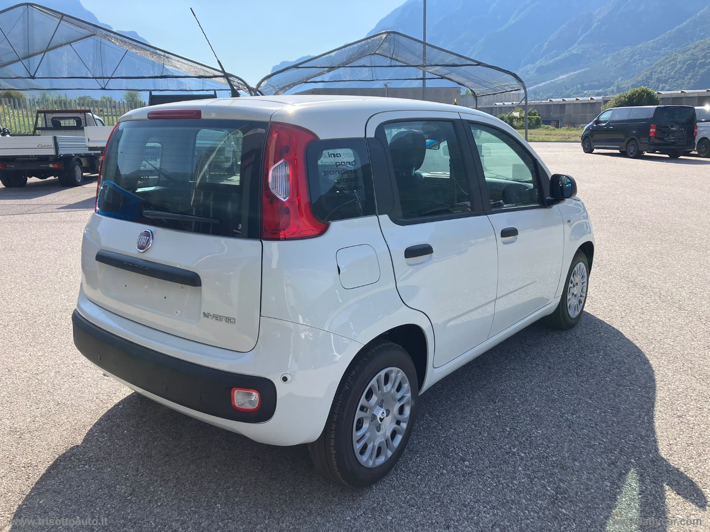 Panda 1.0 70CV FireFly S&S Hybrid Pop VARI COLORI - immagine 6