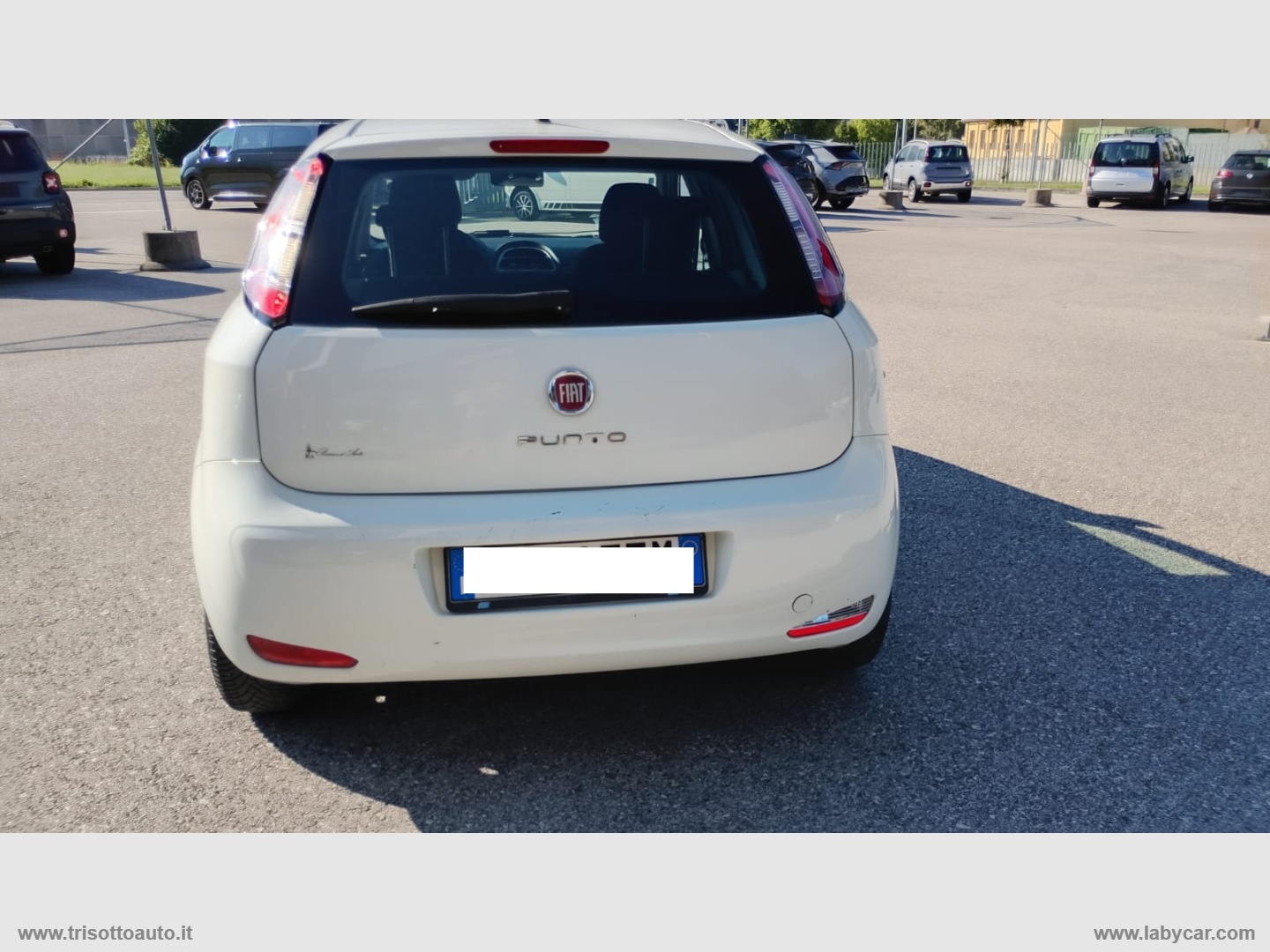 Punto 1.2 8V 5p. Young - immagine 6