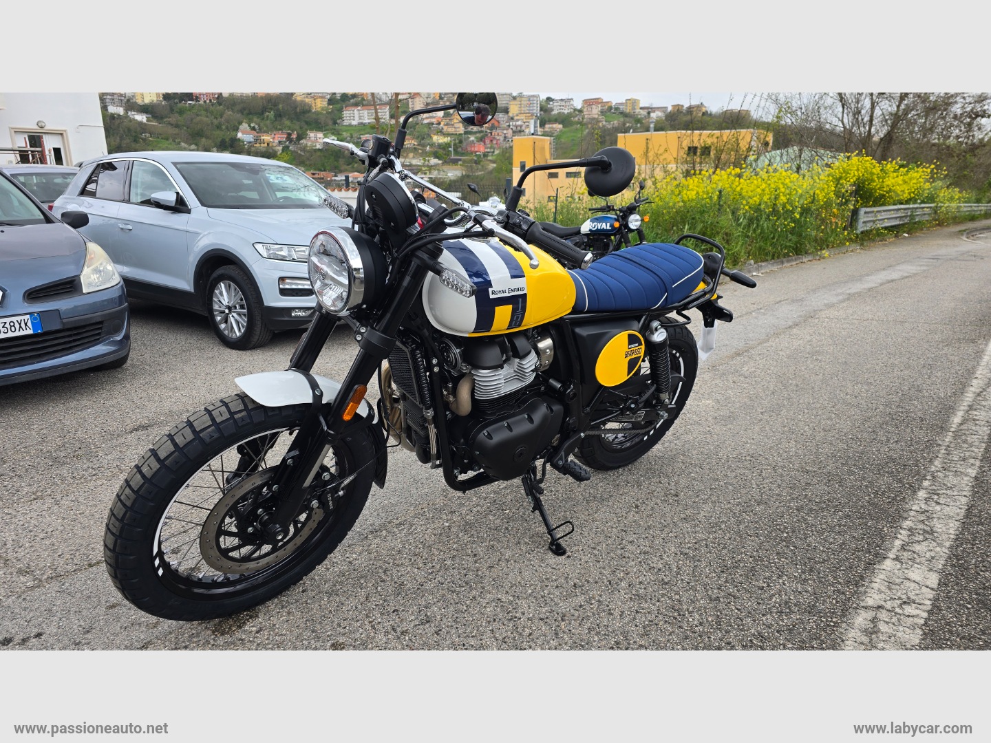 BEAR 650 LIMITED EDITION - immagine 6