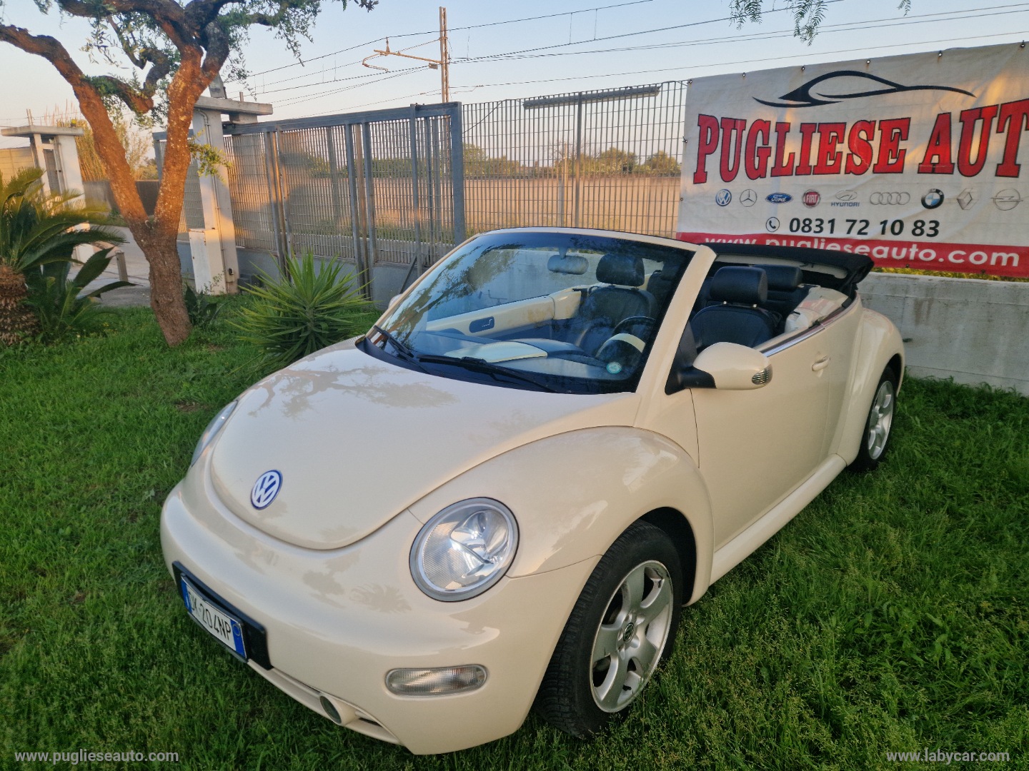 New Beetle 1.6 Cabrio MOTORE NUOVO - immagine 6