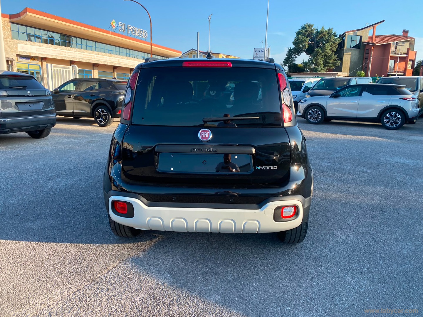 Fiat Panda 1.0 FireFly S&S Hybrid Pandina - Immagine 6