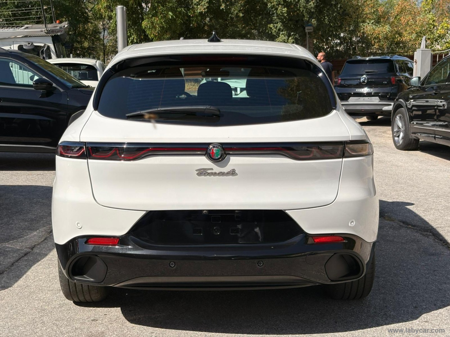 Alfa Romeo Tonale 1.6 diesel 130 CV TCT6 Sprint - Immagine 6