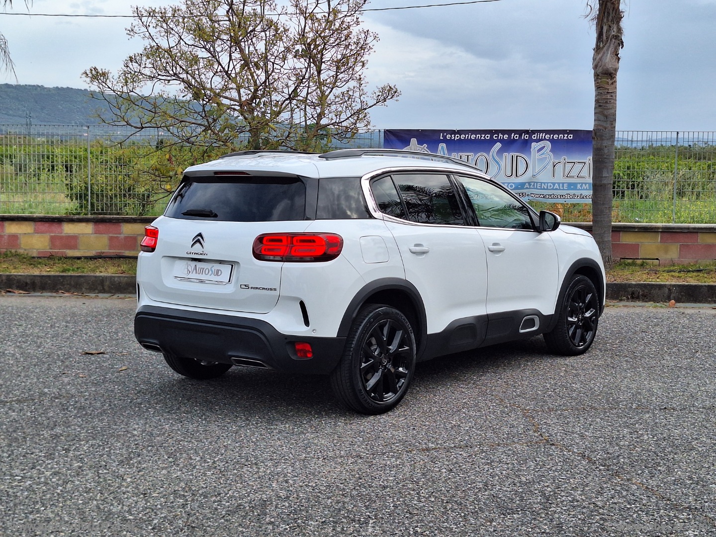 C5 Aircross BlueHDi 130 S&S EAT8 Shine - immagine 6