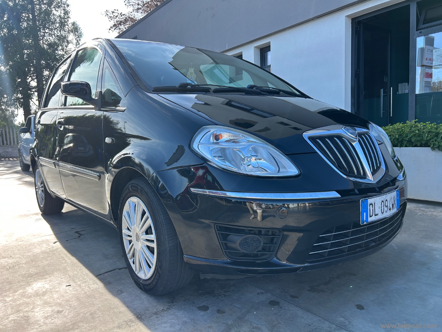 Musa 1.4 Oro - immagine 6