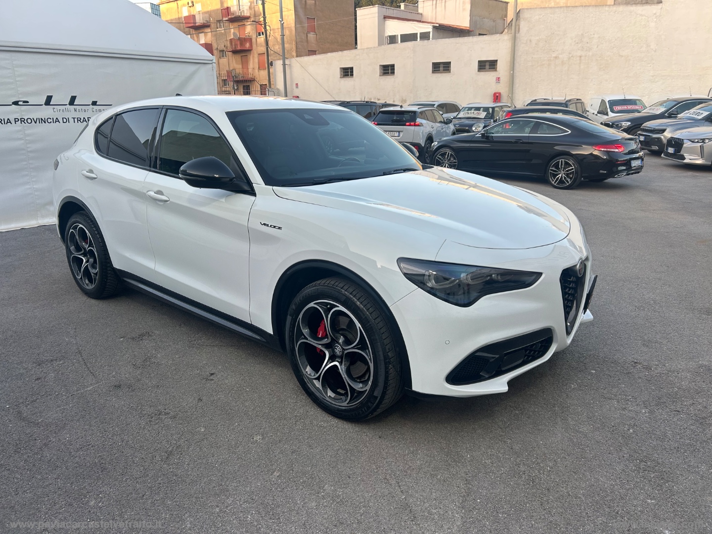 Stelvio 2.2 T.diesel 210CV AT8 Q4 Veloce - immagine 6
