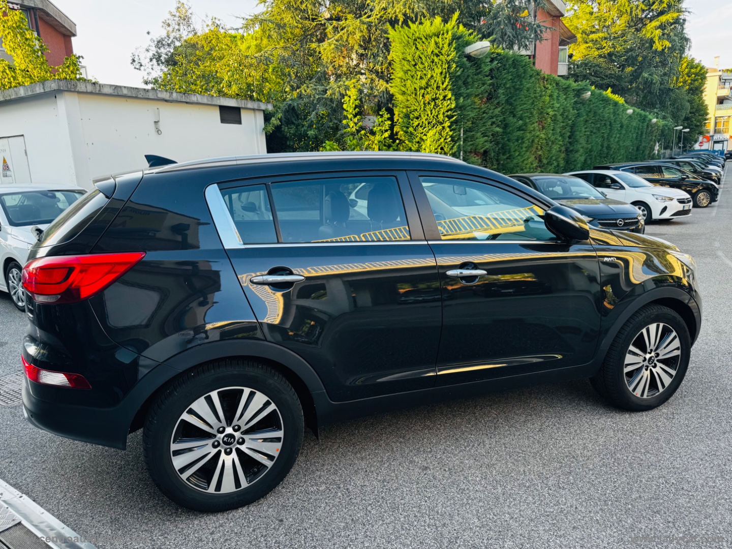 Sportage 2.0 CRDI AWD Pure Rebel - immagine 6