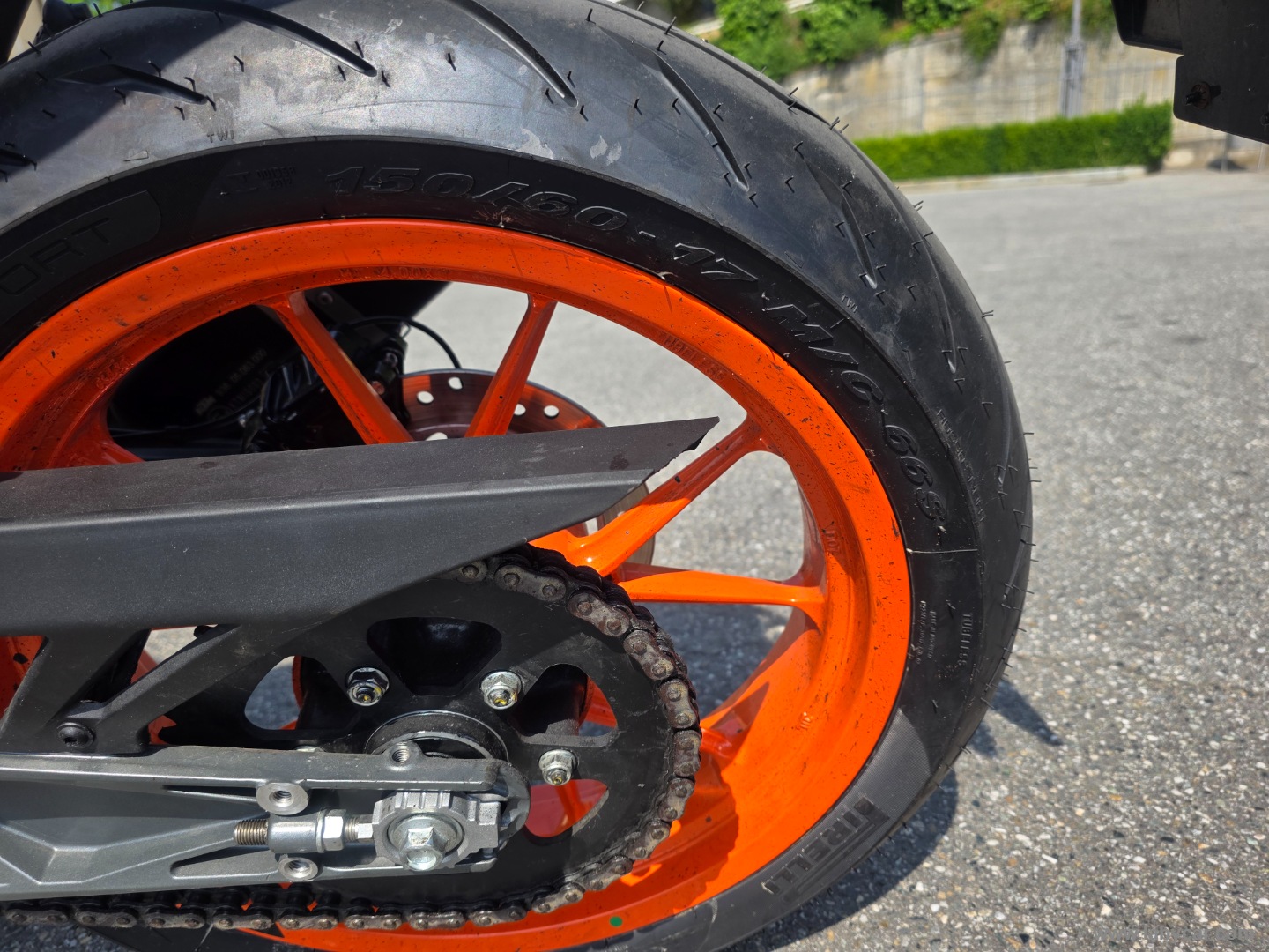 390 Duke - immagine 6