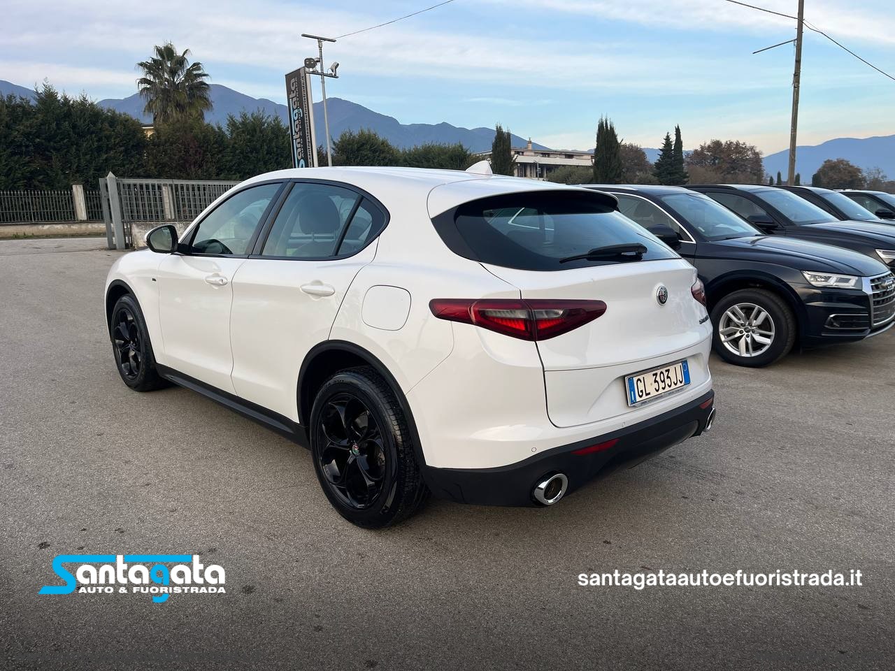 Stelvio 2.2 T.diesel 150CV AT8 RWD Super - immagine 6