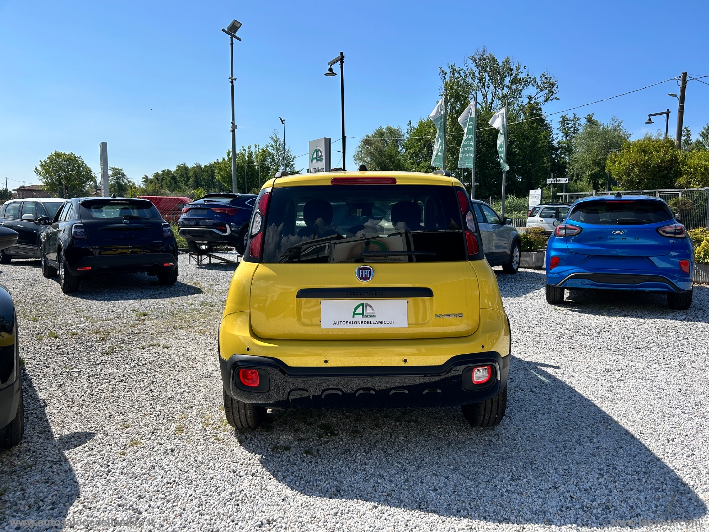 Img Particolare 06