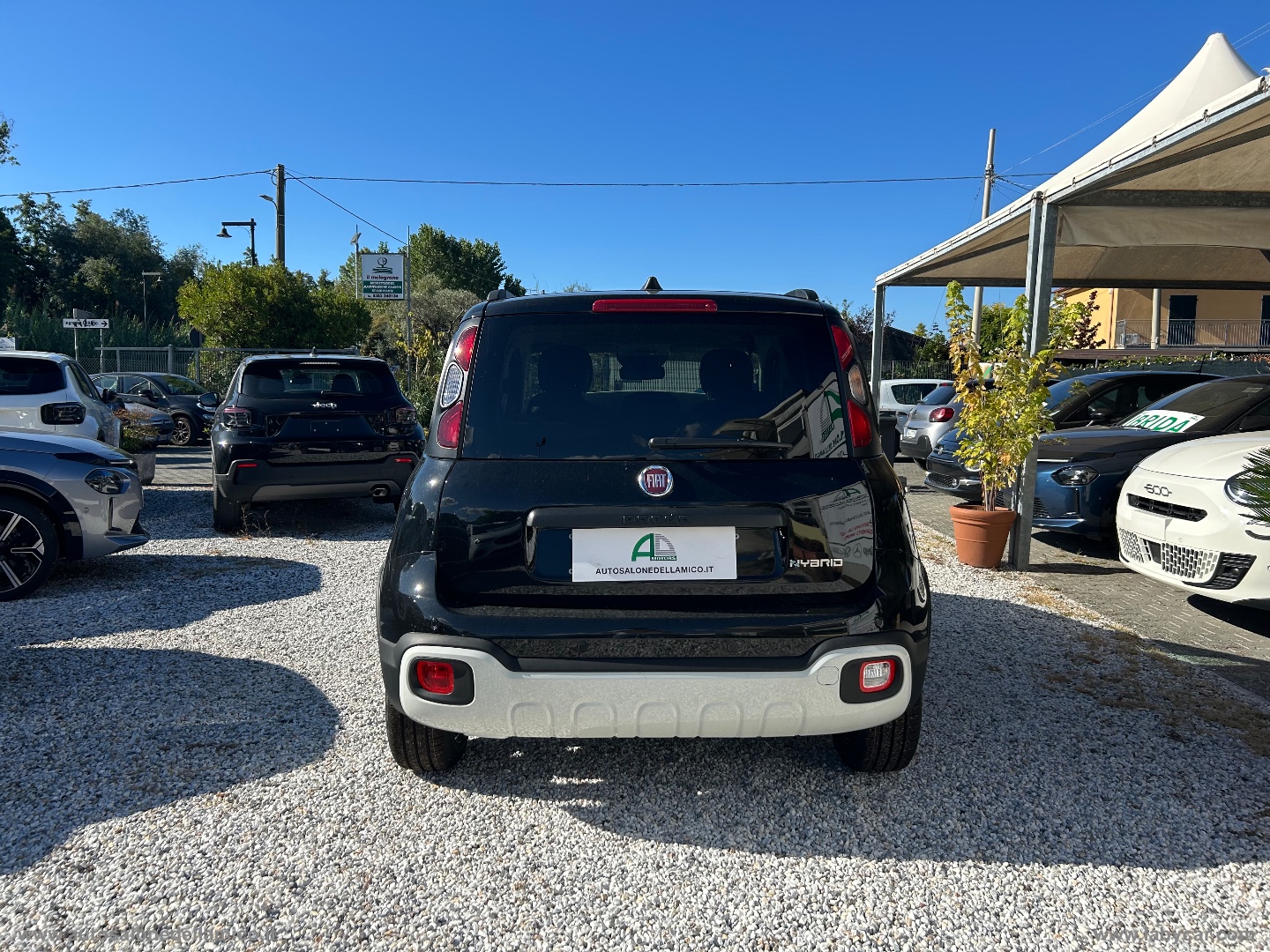 Img Particolare 06
