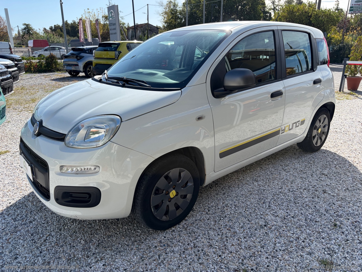 Panda 1.2 Young - immagine 7