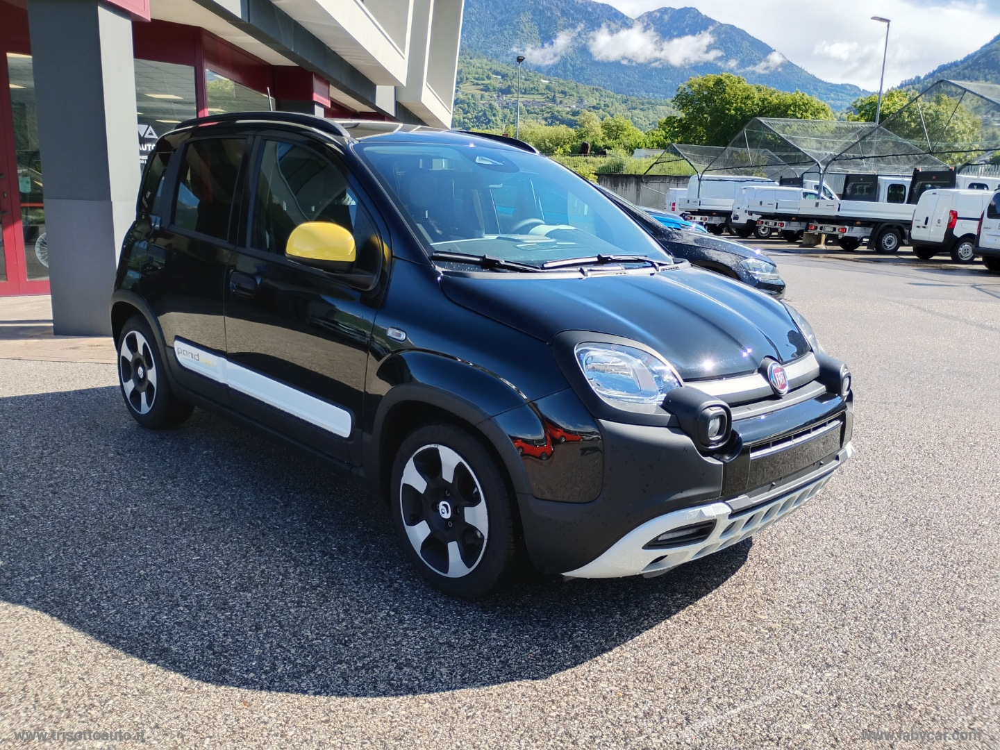 Panda 1.0 FireFly Hybrid 70CV Pandina VARI COLORI - immagine 7