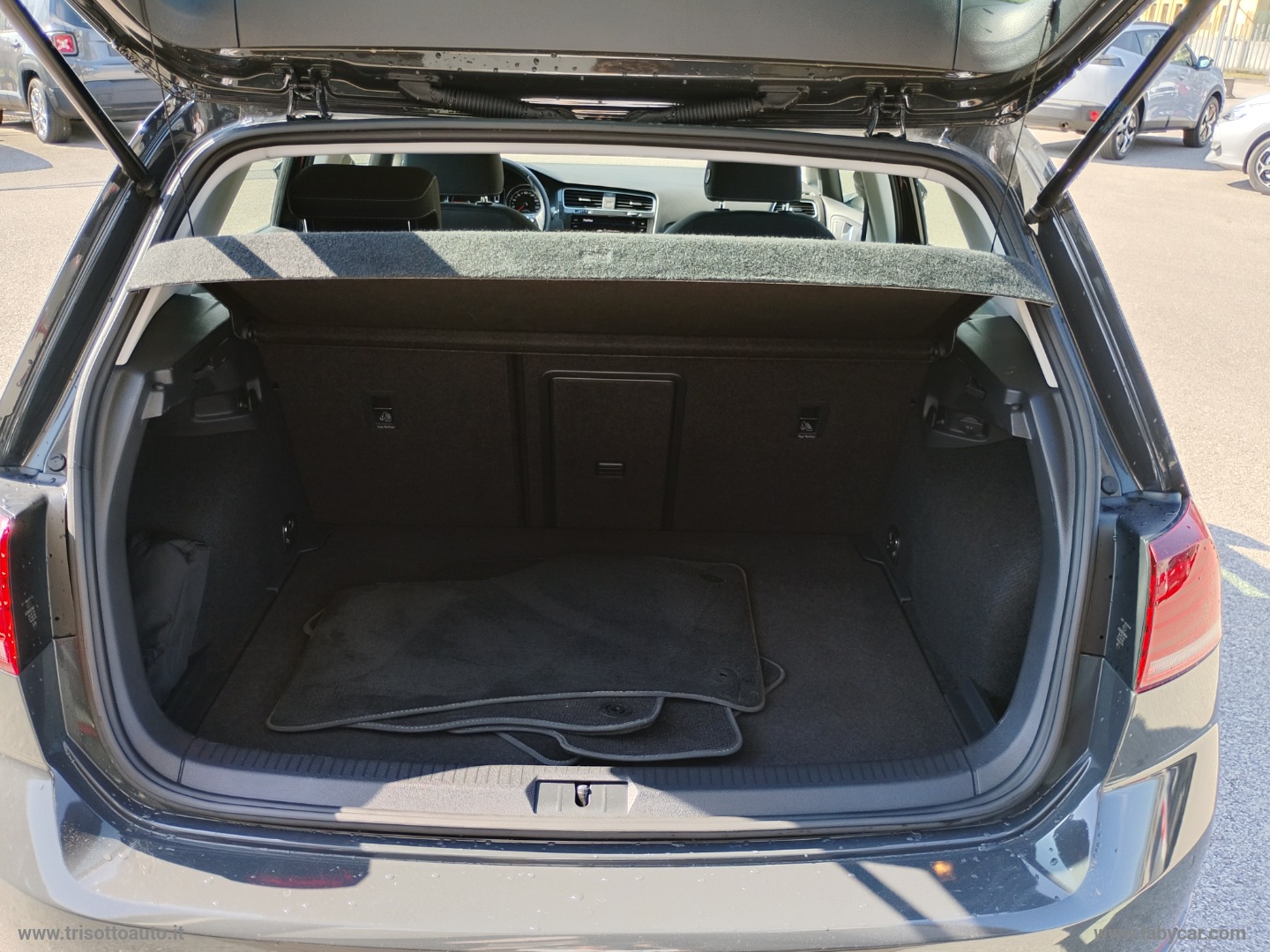 Golf 1.6 TDI 115CV 5p. Executive BMT - immagine 7