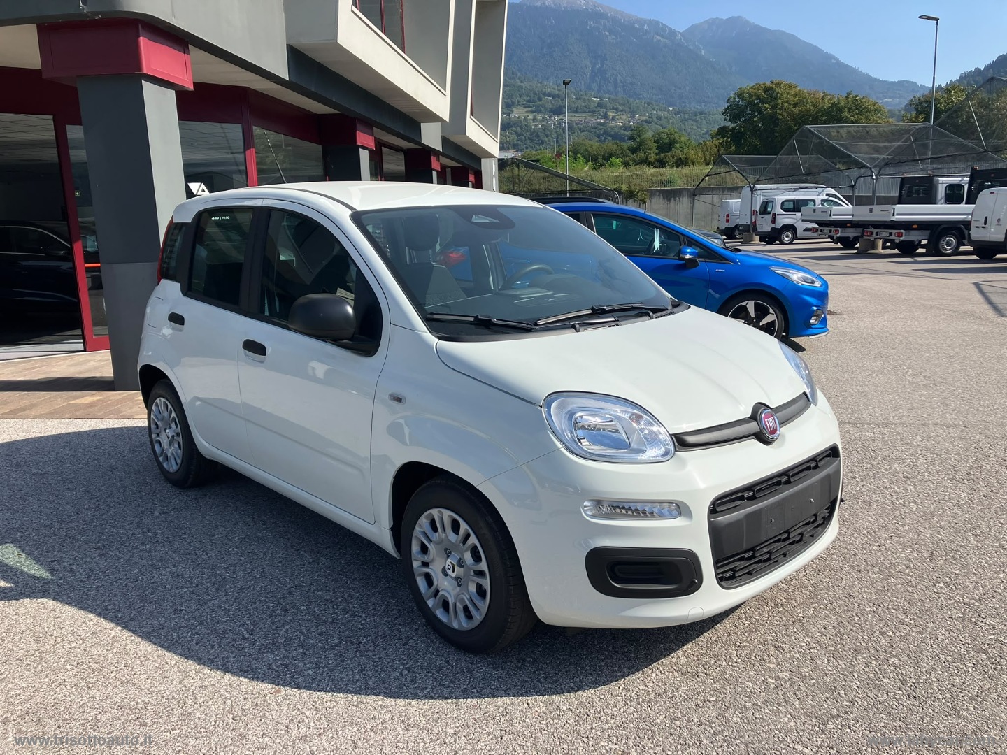 Panda 1.0 70CV FireFly S&S Hybrid Pop VARI COLORI - immagine 7