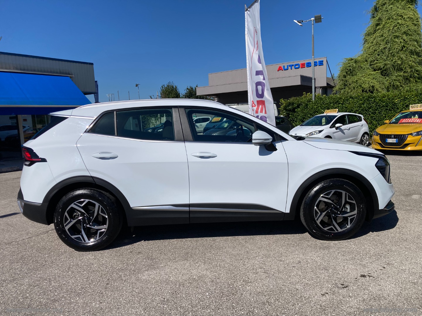 Sportage 1.6 CRDi MHEV Business - immagine 7