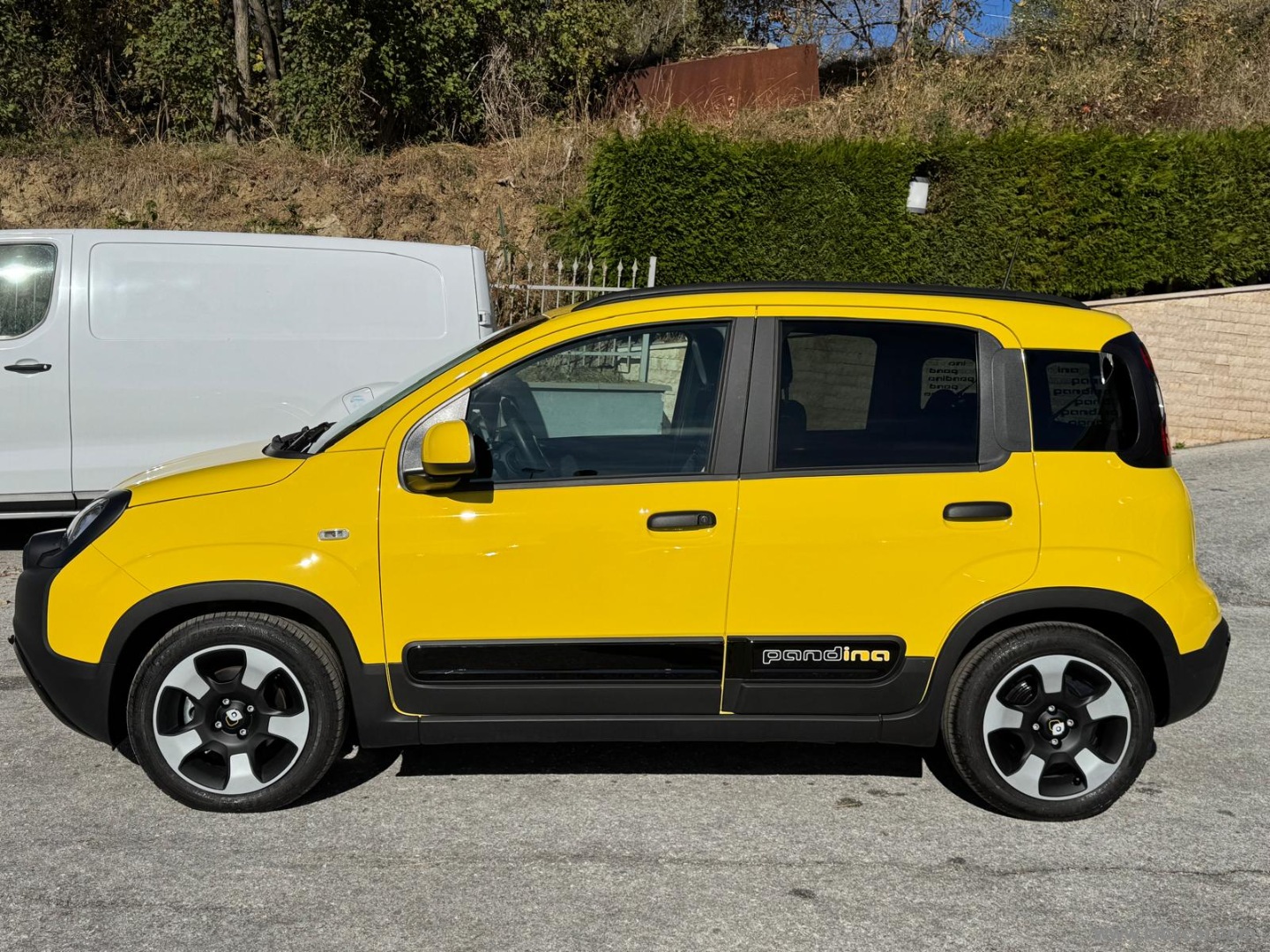 Fiat Panda Cross 1.0 FireFly S&S Hybrid PANDINA - Immagine 7
