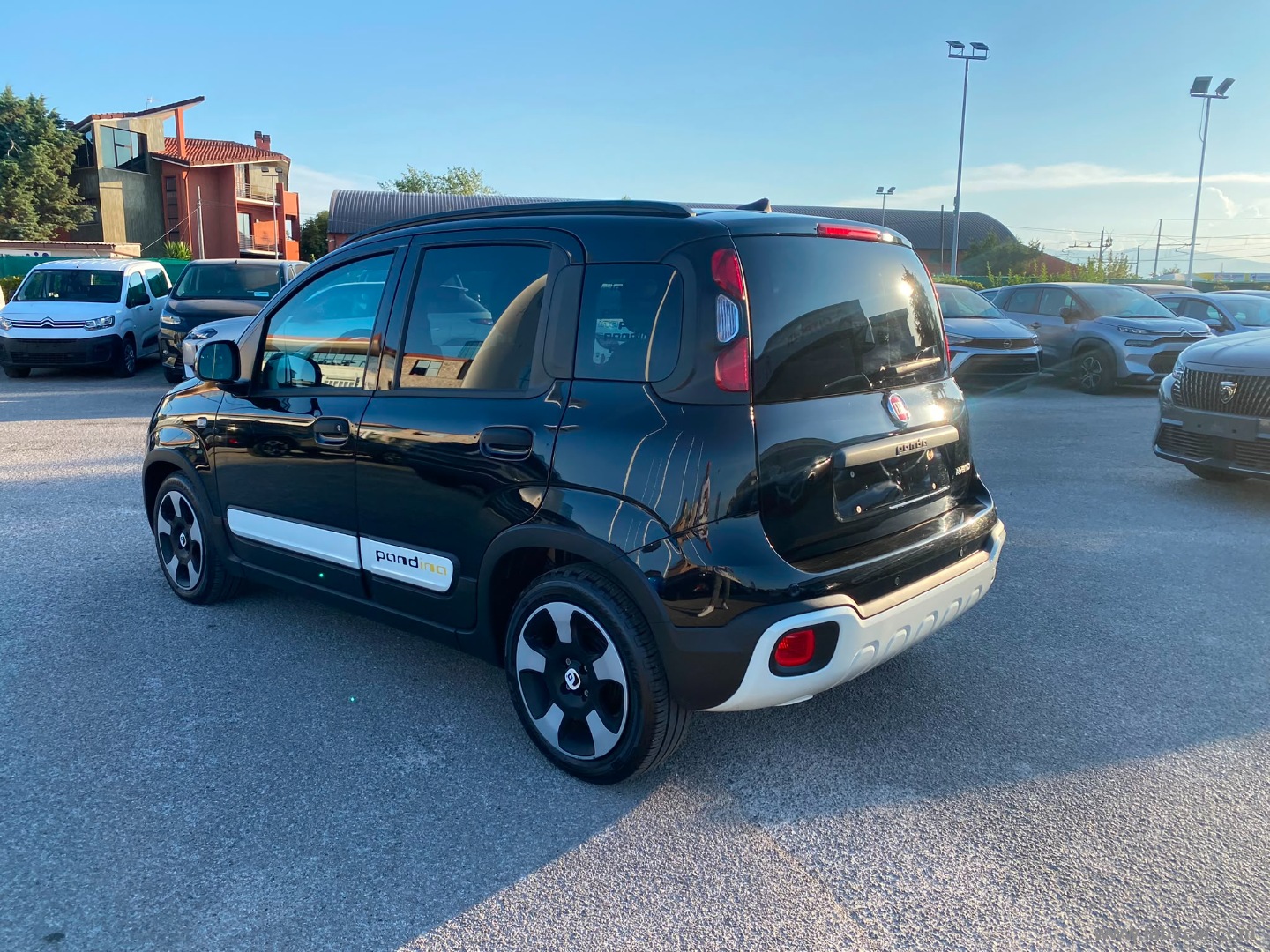 Fiat Panda 1.0 FireFly S&S Hybrid Pandina - Immagine 7