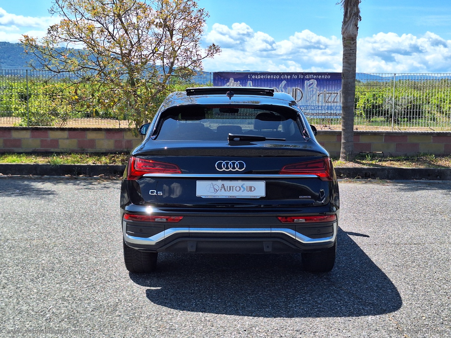 Q5 SPB 40 TDI quattro S tr. S line plus - immagine 7