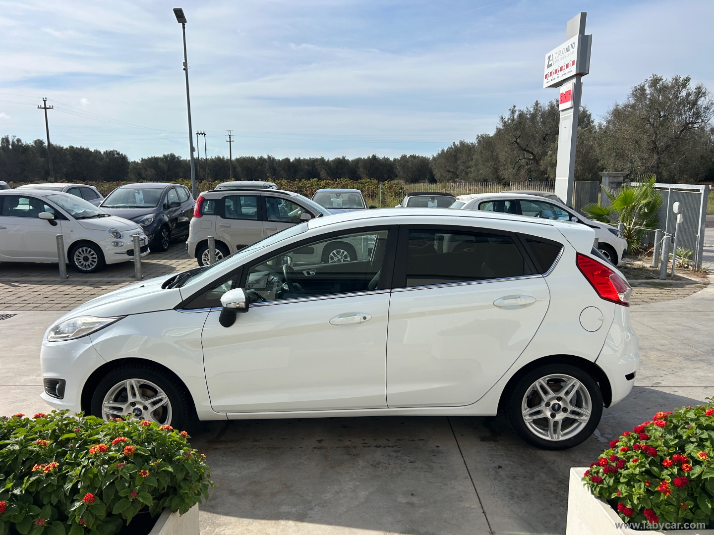 Fiesta 1.5 TDCi 75 CV 5p. Titanium - immagine 7