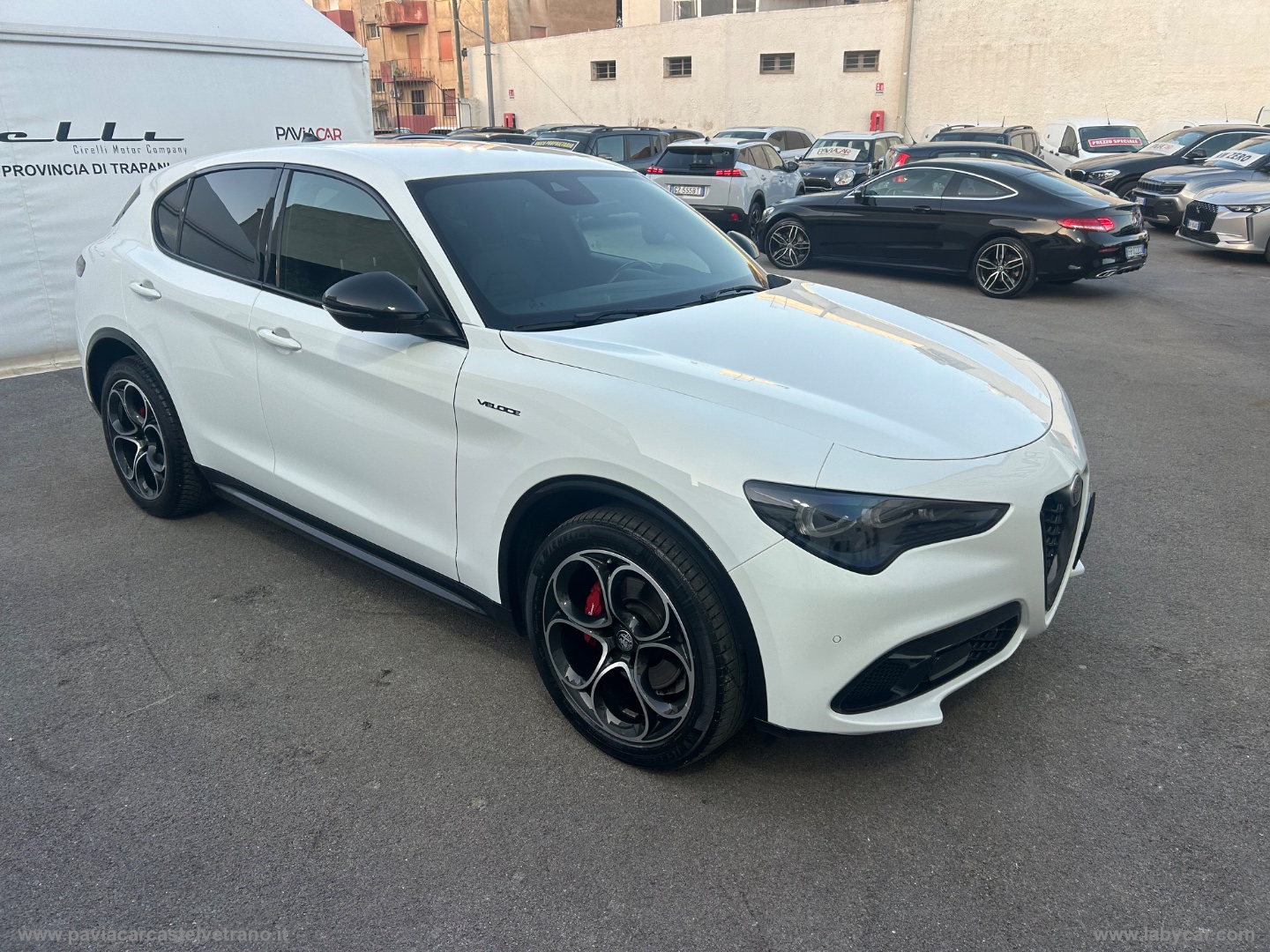 Stelvio 2.2 T.diesel 210CV AT8 Q4 Veloce - immagine 7