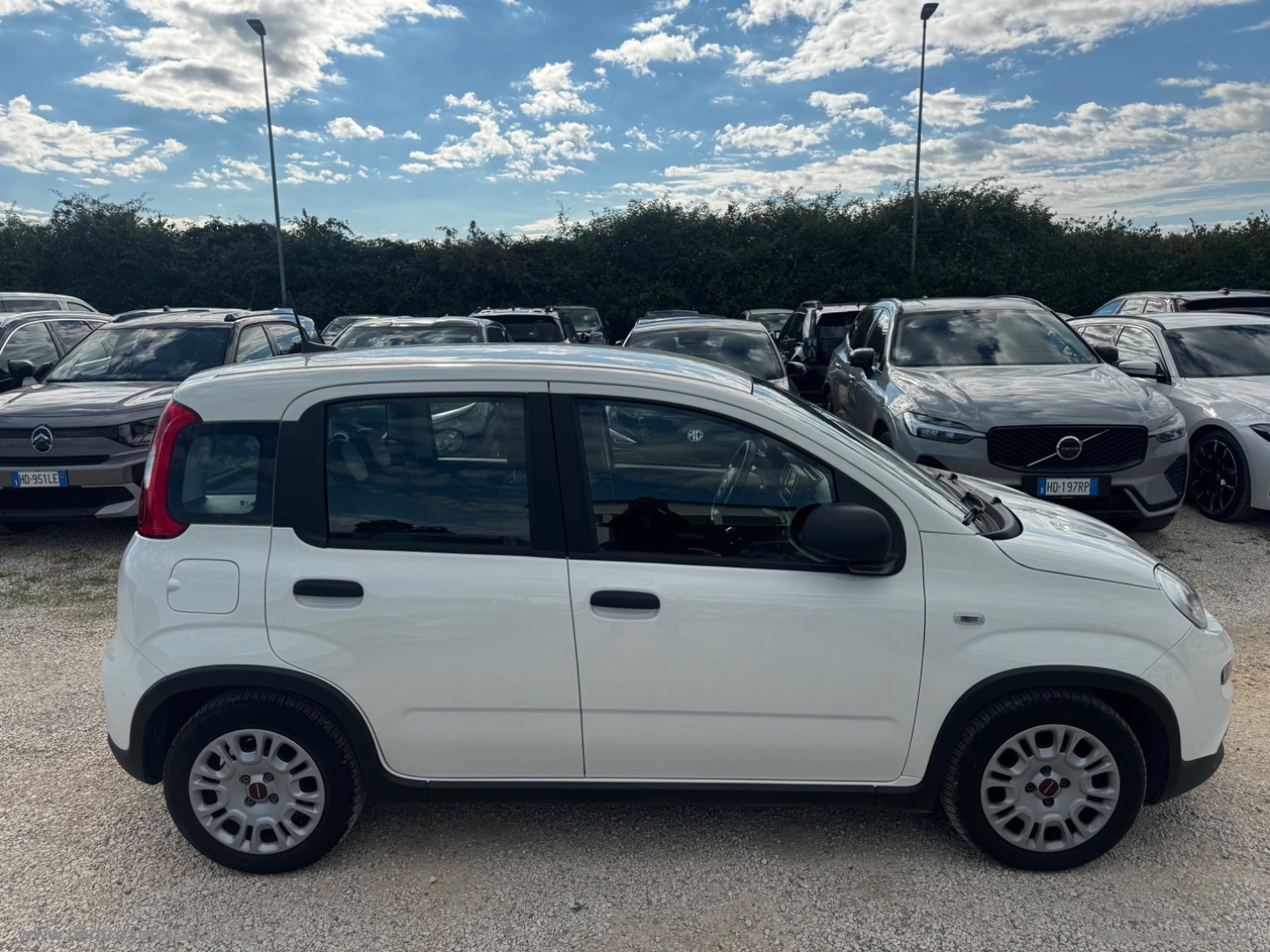 Panda 1.0 FireFly S&S Hybrid - immagine 7