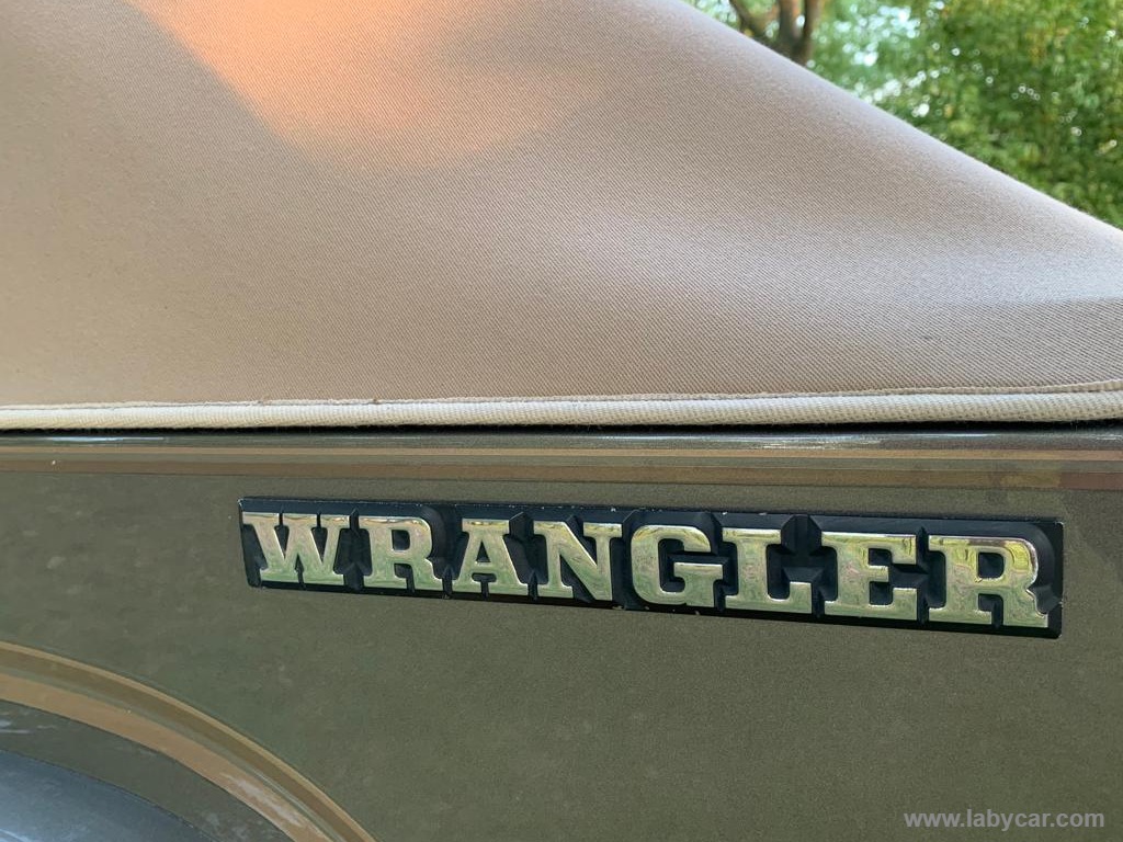 Wrangler 2.5 Laredo - immagine 7
