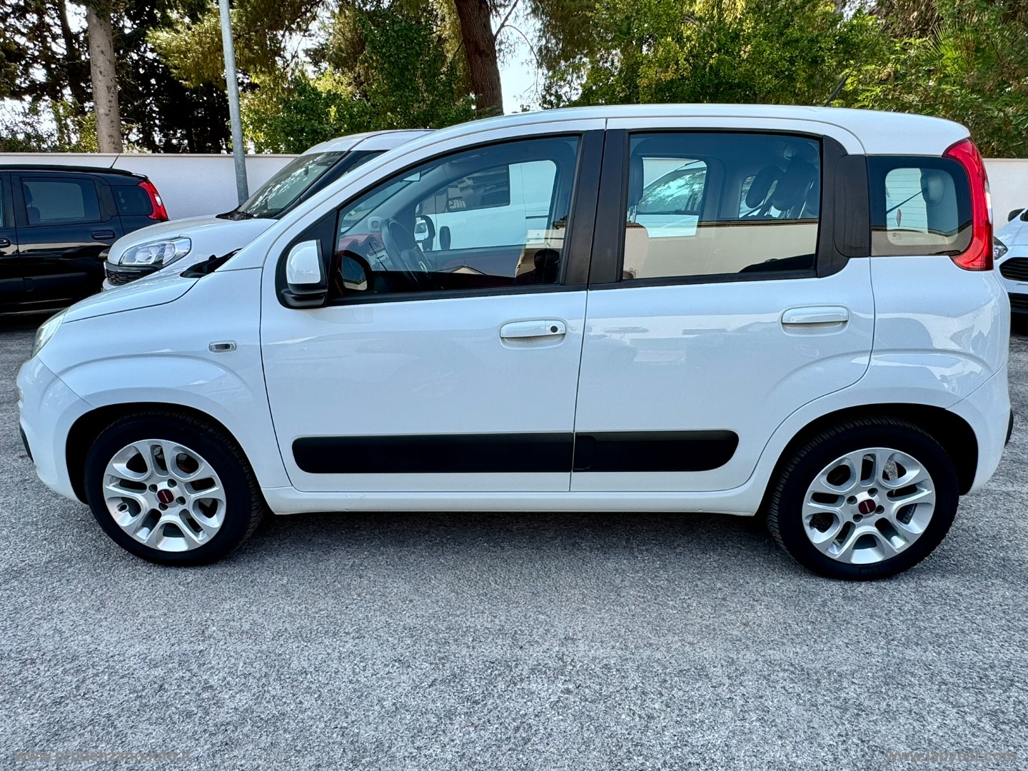 Panda 1.2 Lounge SENSORI, CERCHI - immagine 7