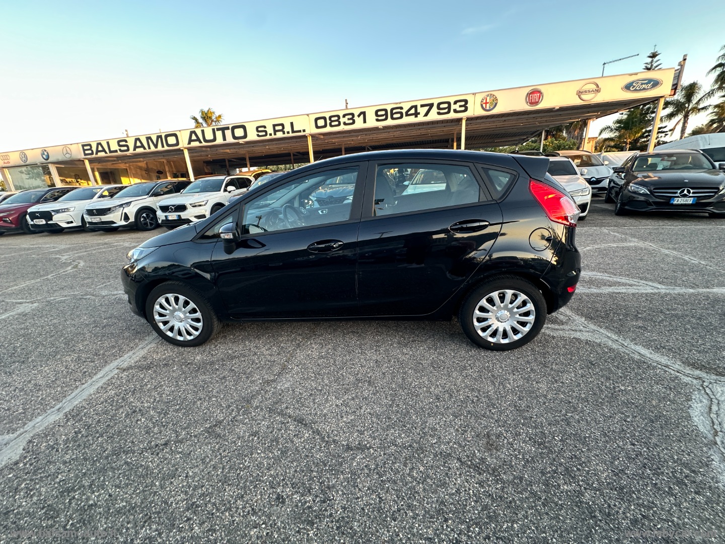 Fiesta 1.5 TDCi 75 CV 5p. Titanium - immagine 8