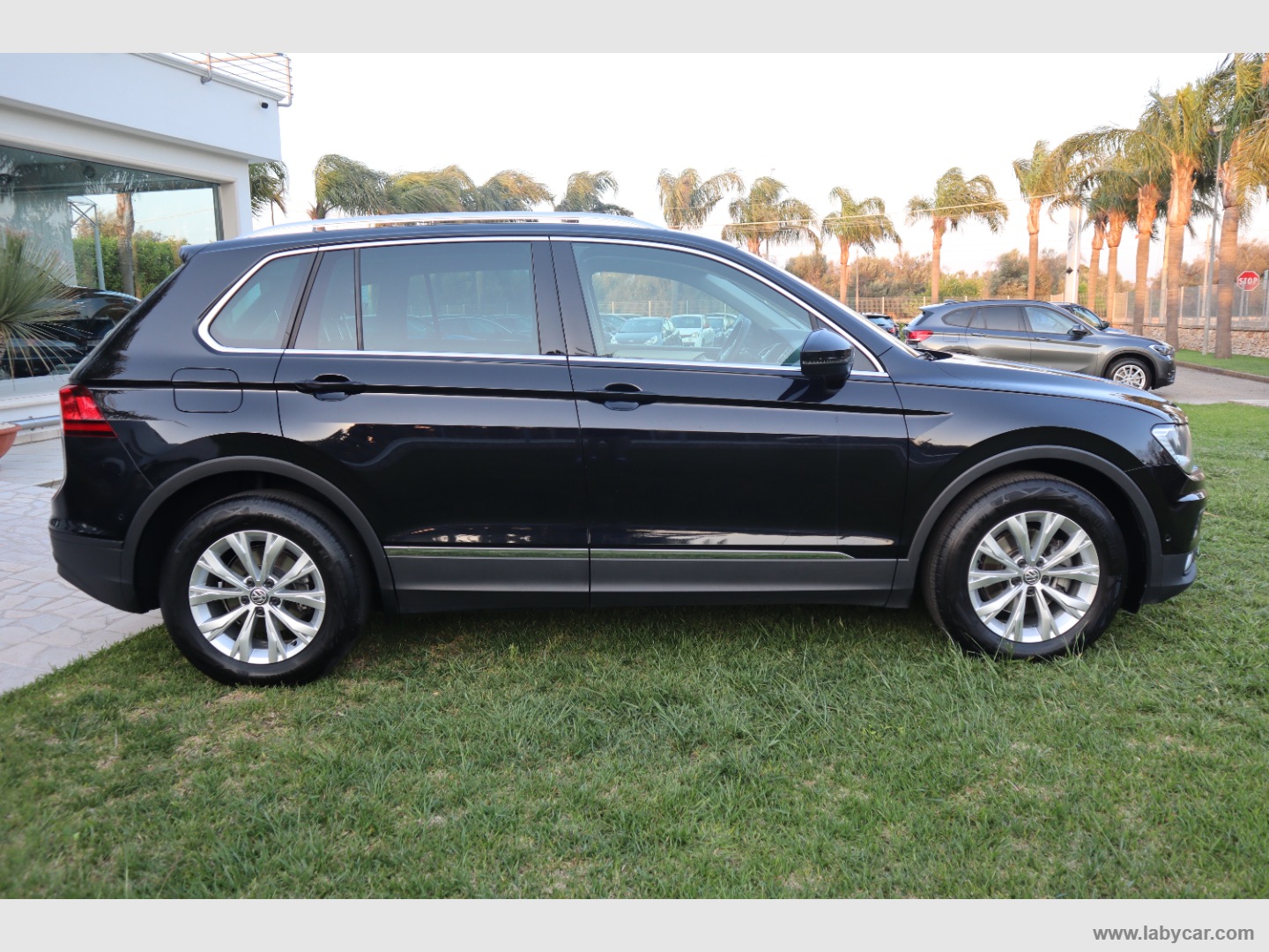 Tiguan 1.6 TDI Business BMT - immagine 8