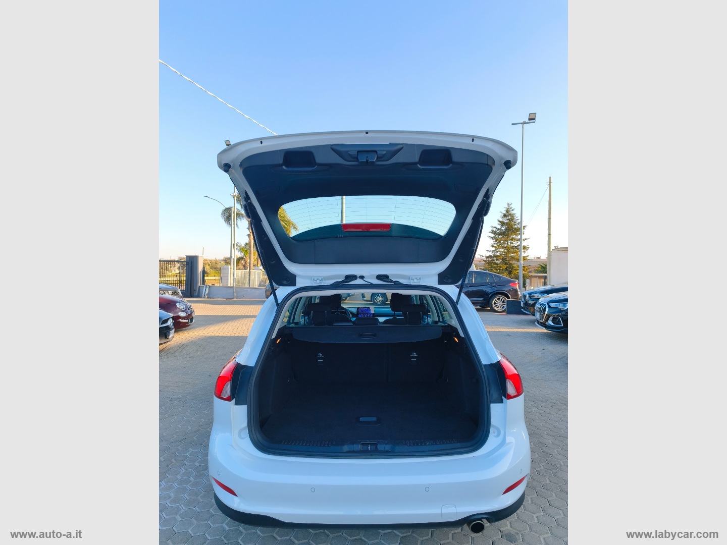 Focus 1.5 EcoBlue 120CV SW Business - immagine 8