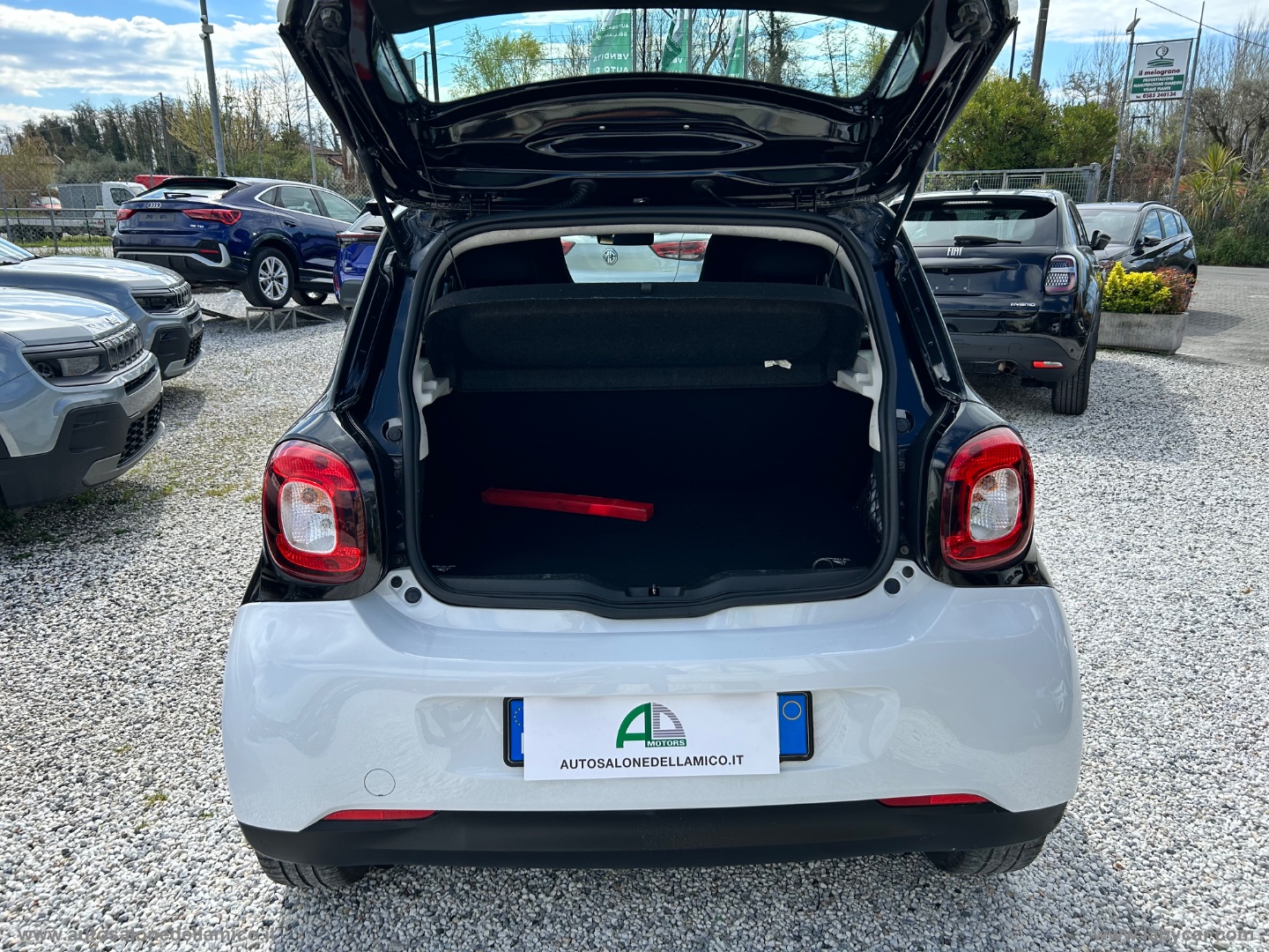 Img Particolare 07