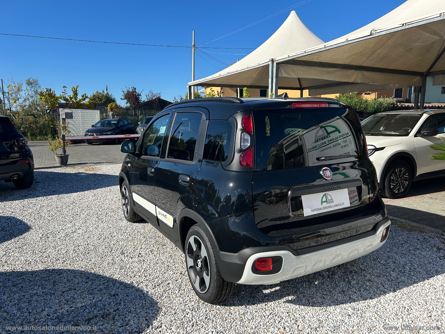 Img Particolare 07