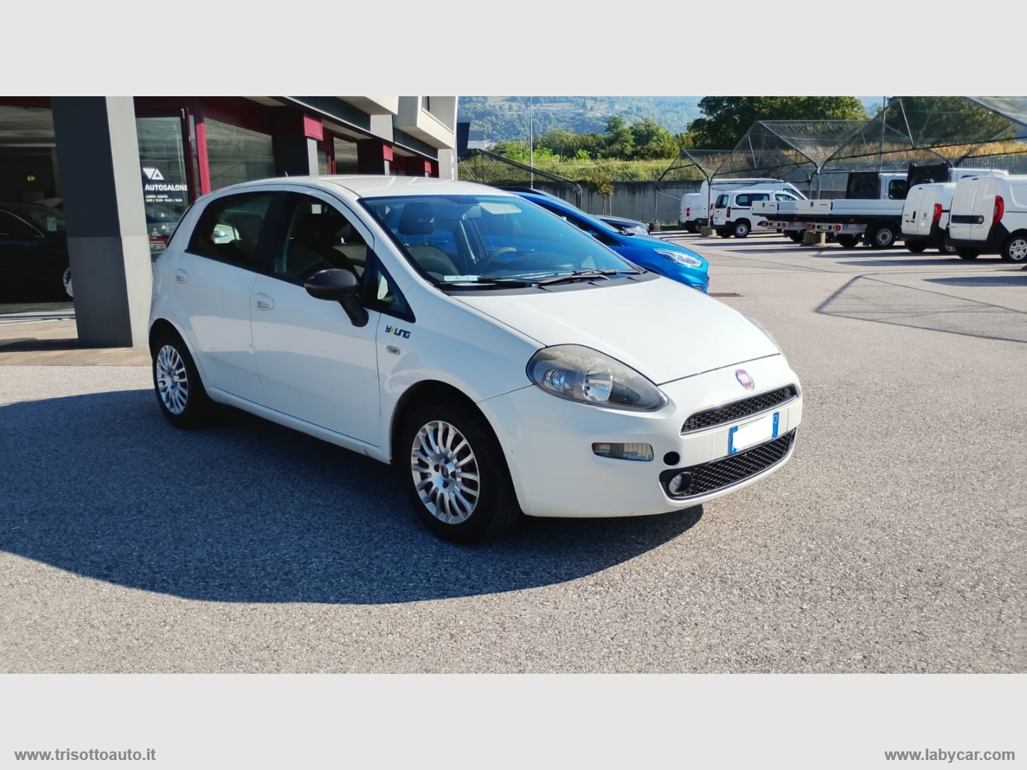 Punto 1.2 8V 5p. Young - immagine 8