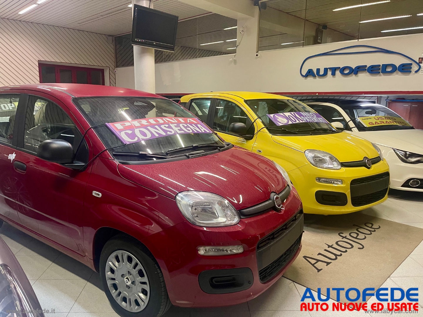 Pandina 1.0 Hybrid 65 CV Van Icon - immagine 8