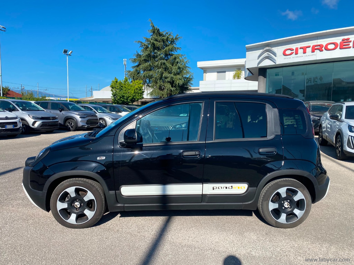 Fiat Panda 1.0 FireFly S&S Hybrid Pandina - Immagine 8