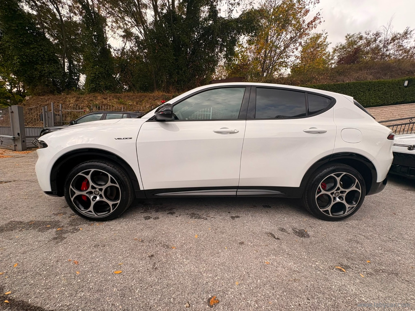 Alfa Romeo Tonale 1.3 280 CV PHEV AT6 Q4 Veloce - Immagine 8