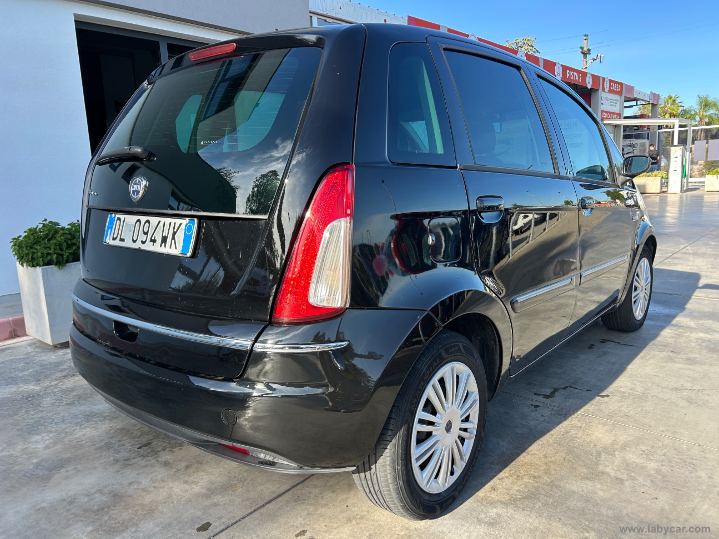 Musa 1.4 Oro - immagine 8