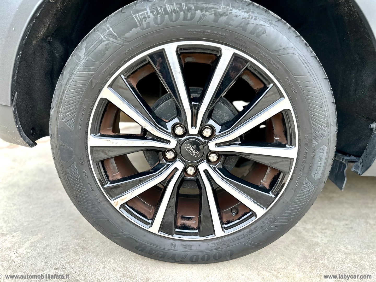 Puma 1.0 EcoBoost Hyb. 125 S&S Tit. Des. 10/2022 KM 25.000 - immagine 8