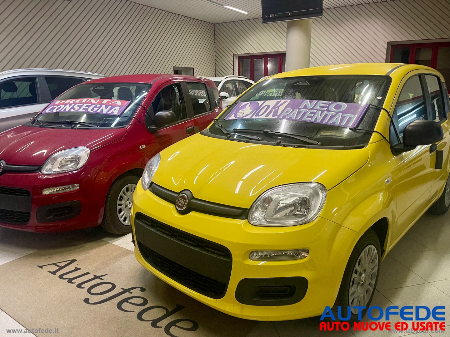 Pandina 1.0 Hybrid 65 CV Van Icon - immagine 9