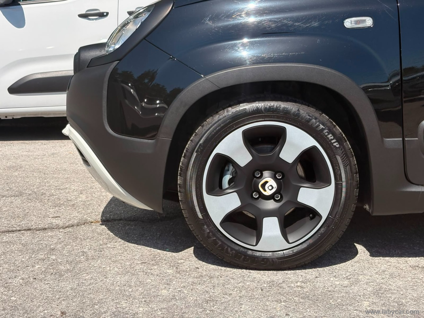 Fiat Panda 1.0 FireFly S&S Hybrid Pandina - Immagine 9