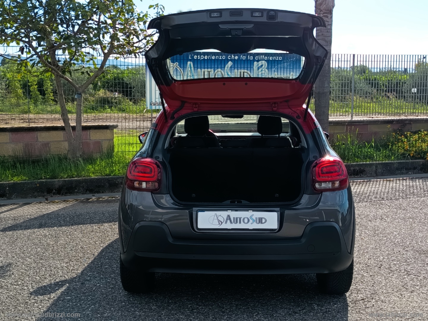 C3 BlueHDi 100 S&S Shine BCOLOR - immagine 9