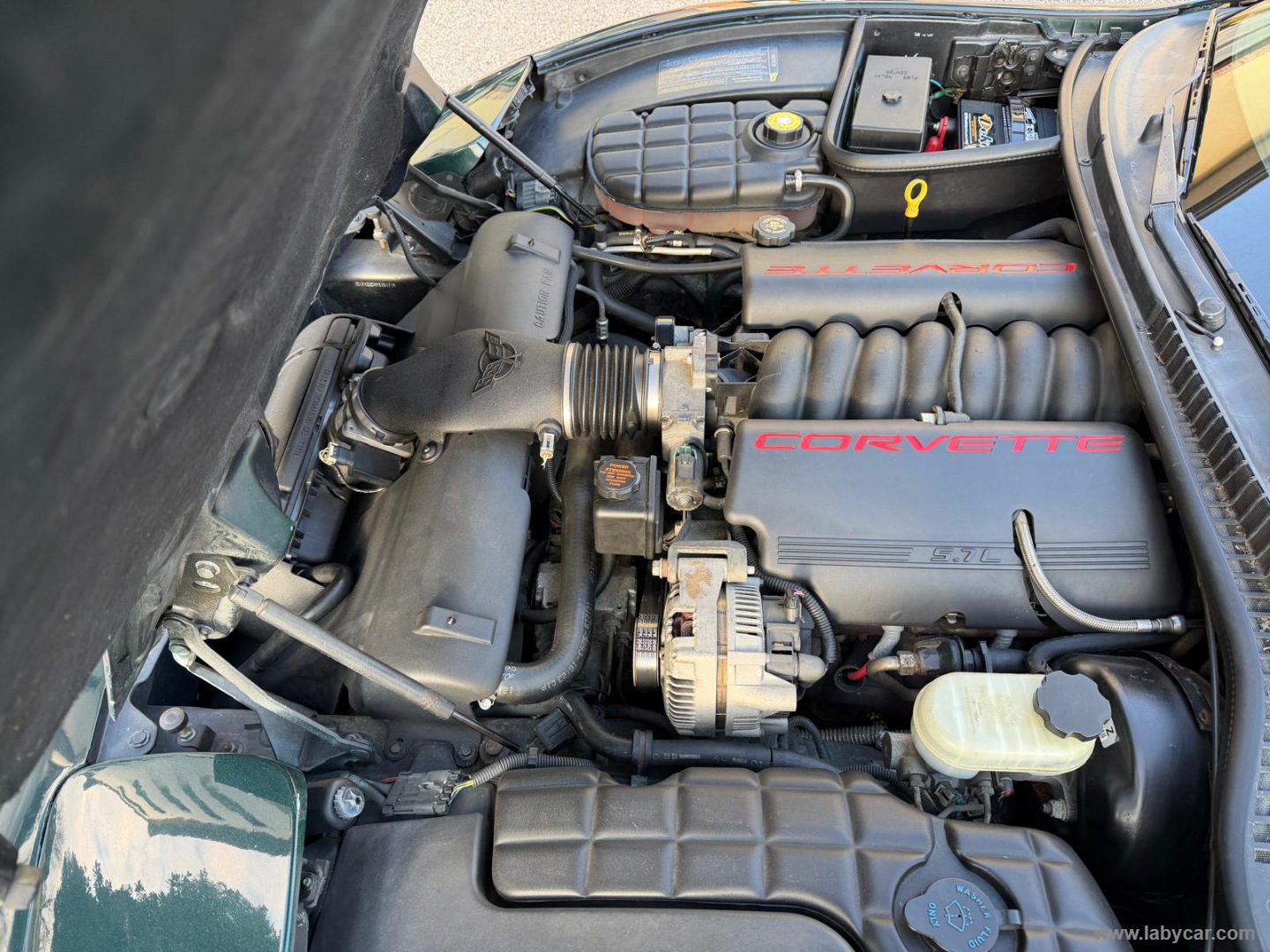 Corvette C5 5.7 V8 Coupé ASI - immagine 9