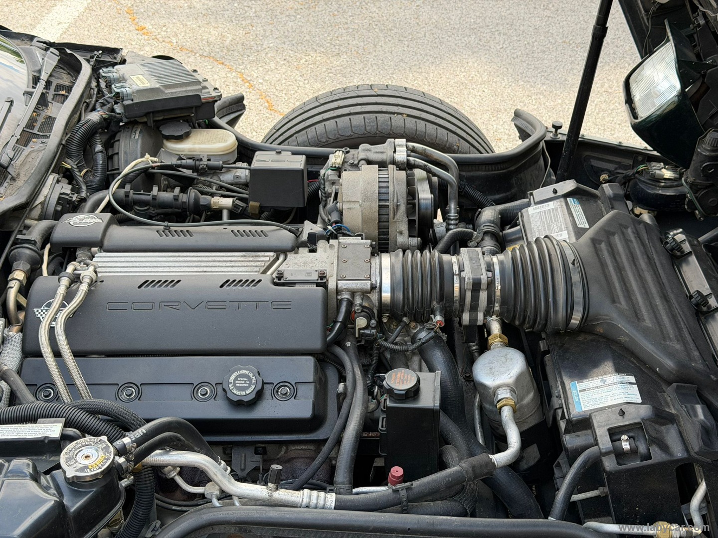 Corvette C4 5.7 V8 Coupé ASI–TETTO ASPORTABILE - immagine 9