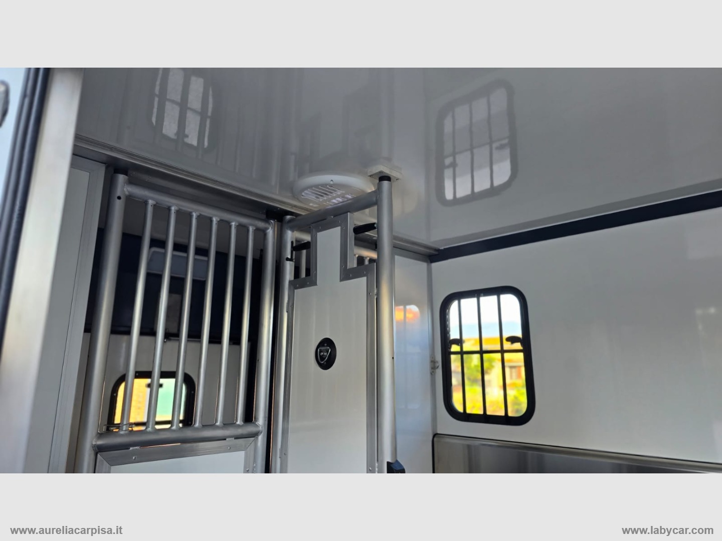 Master T35 2.3dCi135 PL-TM VAN TRASPORTO CAVALLI - immagine 9
