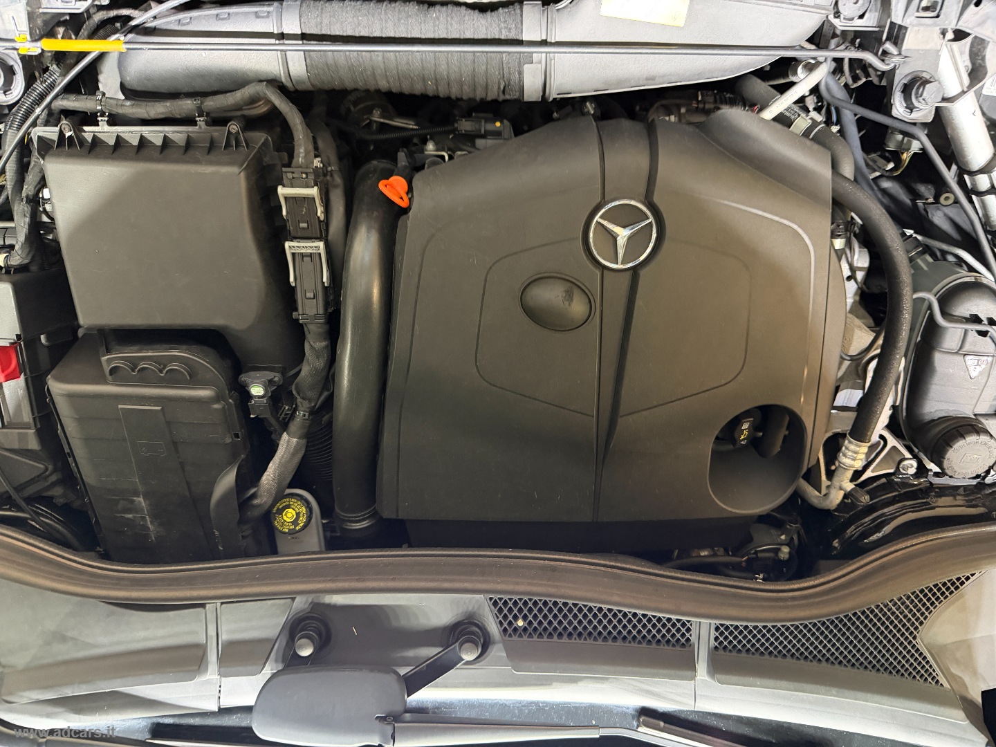 B 180 CDI EXECUTIVE - immagine 10