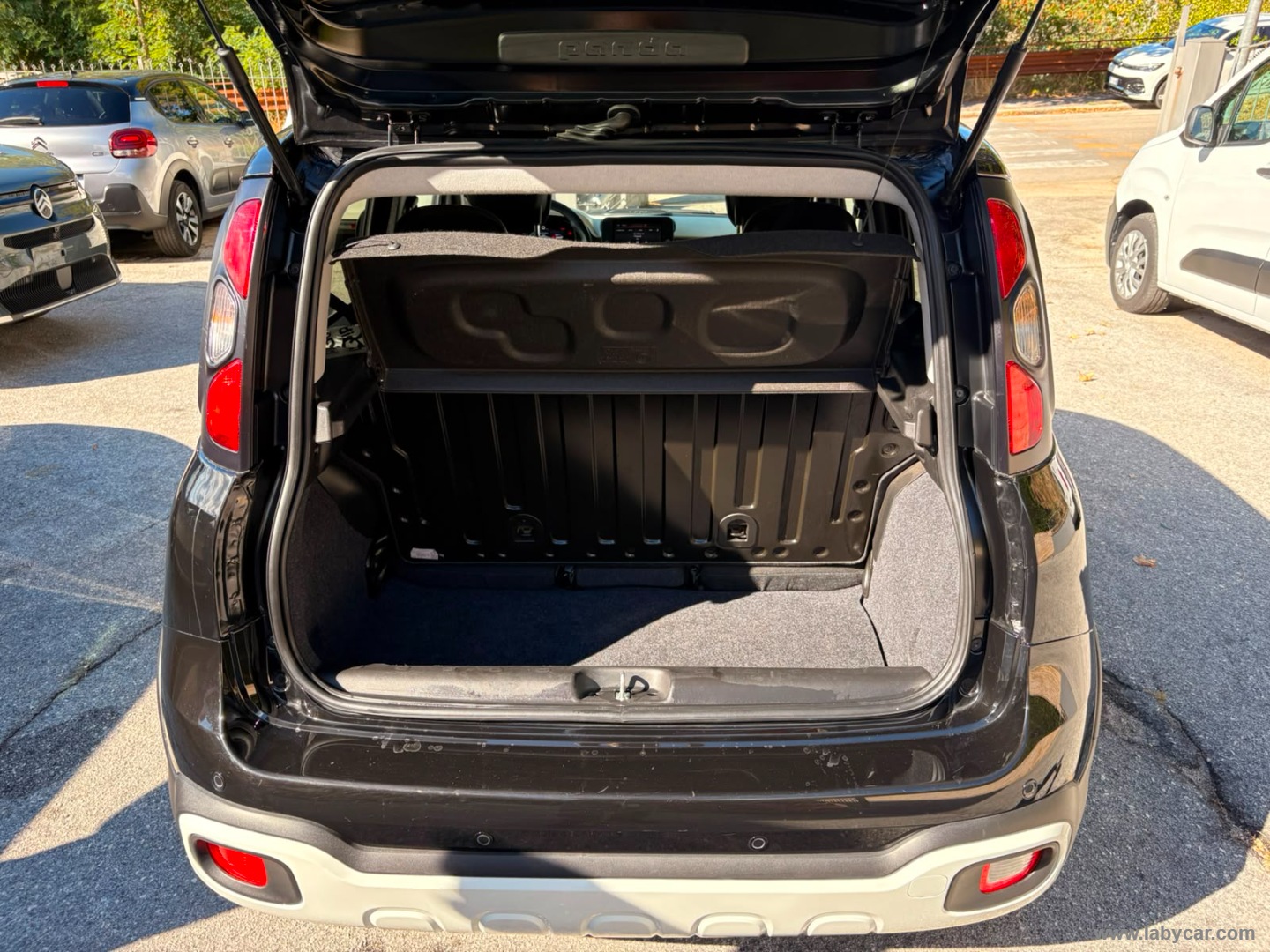 Fiat Panda 1.0 FireFly S&S Hybrid Pandina - Immagine 10