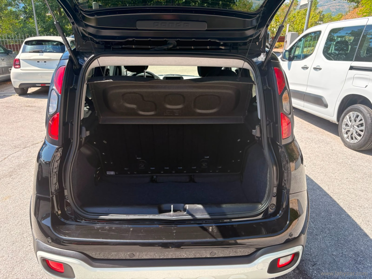 Fiat Panda 1.0 FireFly S&S Hybrid Pandina - Immagine 10