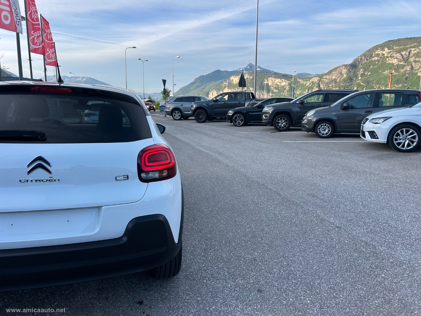 C3 PureTech 83 S&S Shine VERNICE BICOLORE - BIANCO/TETTO NERO - immagine 10