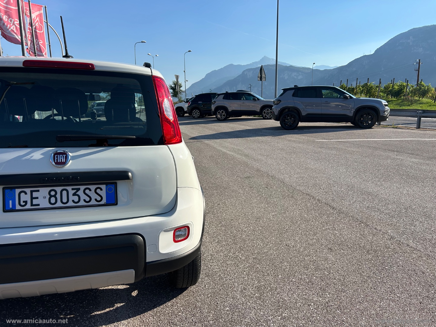 Panda 0.9 TwinAir Turbo S&S 4x4 Wild - immagine 10
