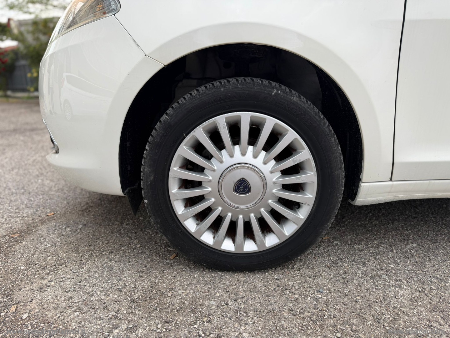 Ypsilon 1.3 MJT 95 CV 5p. S&S Gold - immagine 10